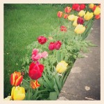 Some Instagramming obviously