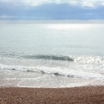 The med :P