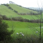 Countryside walk